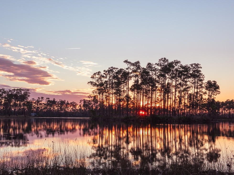 Long Pine Key Lake, Everglades