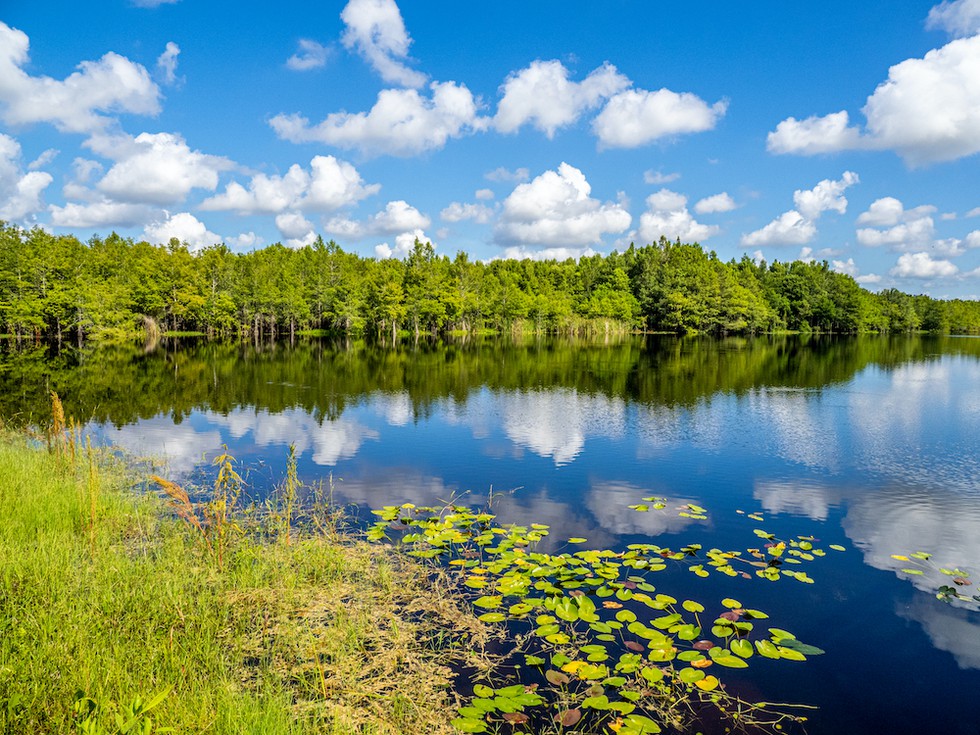 Six Mile Cypress Slough Preserve